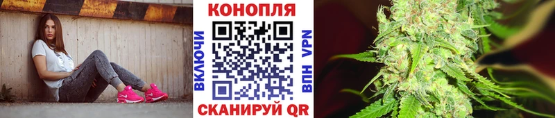 Бошки Шишки VHQ  Салаир 